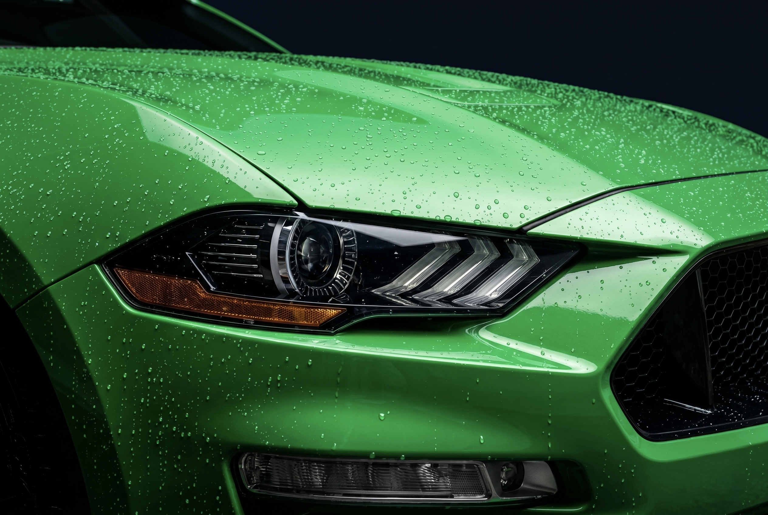Paint protection film installation — ProFilm Fort Lauderdale